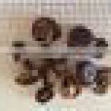 Dried Shiitake Mushroom From China thumbnail-4