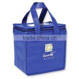 Sewed Picnic Cooler Bag thumbnail-1