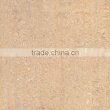 Ceramic Tiles for Floor and Wall Use (V6119P)