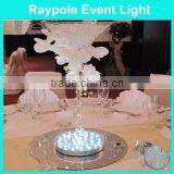 Multi Colors Acrylic Wine Bottle Cooler Rechargeable 4/6/8 Inch SMD LED Bottle Led Light With Remote Control thumbnail-2