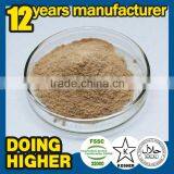 Feed Additives Enzyme Powder Feed Processing Food Grade Bacillus Licheniformis thumbnail-2