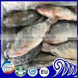 China Export Tilapia Fish Whole Round Seafood Product thumbnail-4