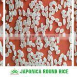 MEDIUM ROUND RICE - HIGH QUALITY -+84 168 2964 221 (Mr.John) thumbnail-5