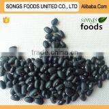 Black Kidney Beans Price Best New Crop Black Kidney Beans