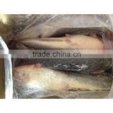 Frozen Catfish Whole Round From Catfish Fish Farm thumbnail-1