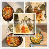 Canned Mixed Vegetable in Brine From Zhangzhou Factory