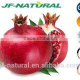 Pomegranate Extract Manufacture in China Certificated With US GMP, KOSHER, HALAL, ISO, HACCP thumbnail-1