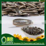 Hot Sell New Crop Striped Black Hybrid Sunflower Seed