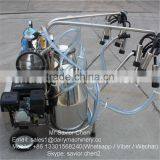 Gasoline Engine Cow Milking Machines For Cows For Sale thumbnail-6