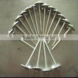 Black Roofing Nail thumbnail-4