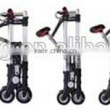 Wholesale New Styple Electric Folding Tall Bike With Cheapest Price