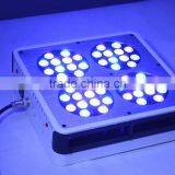 2014 Apollo Led Grow Lights thumbnail-6