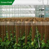 Spring Coconut Plant Stakes thumbnail-1