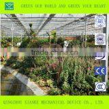 Commercial Large Scale Green House thumbnail-2
