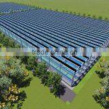 PE Film Greenhouse thumbnail-6