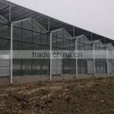 Economic Used in Greenhouse Venlo thumbnail-6