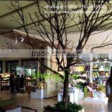Q1101002 China Manufacturer Dry Tree for Wedding Decoration Artificial Tree Without Leaves thumbnail-4