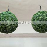 Fashion Wall Hanging Plants thumbnail-4