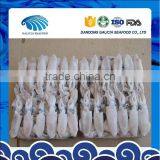 BQF Baby Squid thumbnail-1