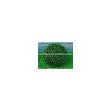 Guangzhou Wholesale Artificial Milan Grass Balls Fake Artificial Grass Ball Plastic Artificial Milan Grass Ball thumbnail-2