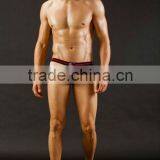 Wholesale Transparent Man's Underwear Mens Nylon Briefs Sexy Panties for Man thumbnail-1