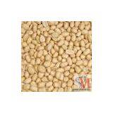 Sell Round Type Blanched Peanut Kernels thumbnail-1
