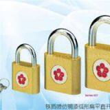 Bronze-Color Painted Iron Padlock-Lateral Opening thumbnail-1