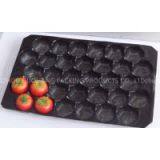 2014 Hot Selling Customized Eco-friendly PP Tomato Packing Disposable Plastic Container