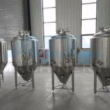 1000L Stainless Steel Tank Beer Brewey Fermenter Fermenting Equipment thumbnail-3