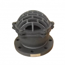 BS/DIN DN100 PN16 Cast Iron/Ductile Iron GG25 GGG50 Foot Valve Flange/Thread Foot Valve Factory thumbnail-2
