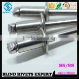 CHEAP A4 STAINLESS STEEL RIVETS