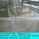 Heavy Gauge Wire Mesh Collapsible Cage