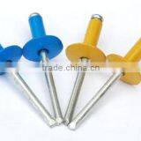 Color LARGE Head Blind Rivet