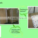 150GSM one side pe coated paper in sheets forcold drink made in china