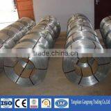 Electro Galvanized Binding Wire China Supplier thumbnail-2