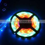 Digital Waterproof 5050 Flexible LED Strip
