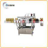 ZHTBS02 Adhesive Front and Back Labeling Machine