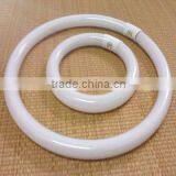 Ring Fluorescent Lamp thumbnail-1