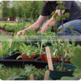Plastic Planters: Garden Pots With Tray LJ-4026 thumbnail-6