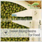 Chinese Export Green Mung Beans Specification thumbnail-3