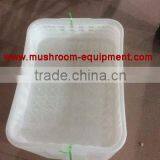 2016 High Quality Mushroom Plastic Food Basket Tray For Mushroom Cultivation thumbnail-4