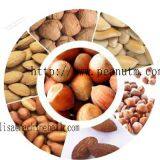 High Capacity Nut Roaster Machine On Sale thumbnail-2