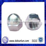 Hex Domed Cap Nut thumbnail-1