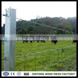 Protection Barbed Wire Galvanized and Pvc Barbed Wire 12#x12# Barbed Wire thumbnail-1