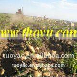 Hot Cheap Selling Potato Harvesting Machine0086-15981860197 thumbnail-2