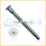 China Factory Sales Titanium Furniture Screw thumbnail-2