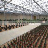 PC Sheet / Polycarbonate Greenhouse for Flower Growing thumbnail-5