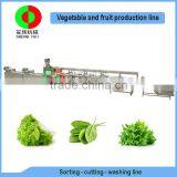 New developed vegetable and fruit sorting cutting washing drying automatic machine production processing line with zone