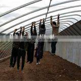 New Type Of Tunnel Greenhouse For Vegetables thumbnail-3