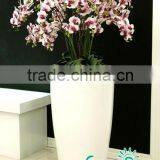 Vases for Weddings thumbnail-1